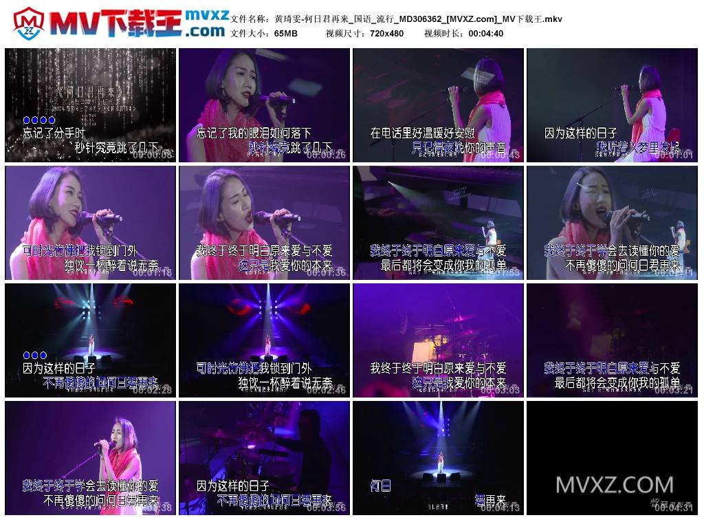 黄琦雯-何日君再来_国语_流行_MD306362